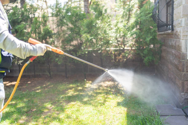 Spider Control Near Me in Banks Springs, LA